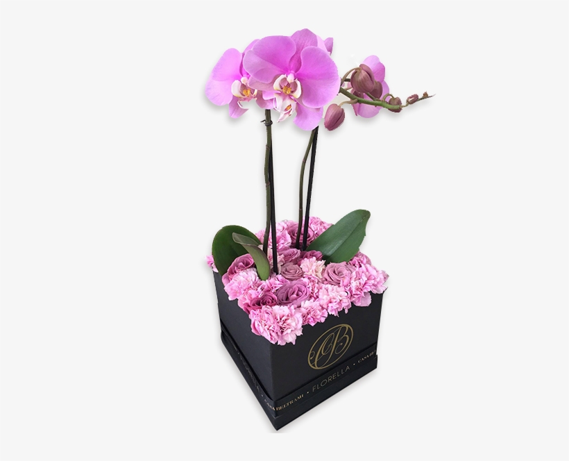 Caja De Rosas Lila Con Orquídea - Cajas De Rosas En Orquidea, transparent png download
