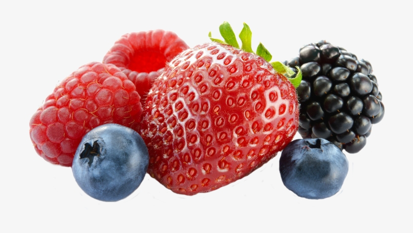 At Pacheco Customs Brokers, We Specialize Exclusively - Berry, transparent png download