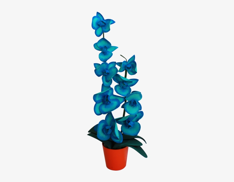 Orquideas Azules, transparent png download
