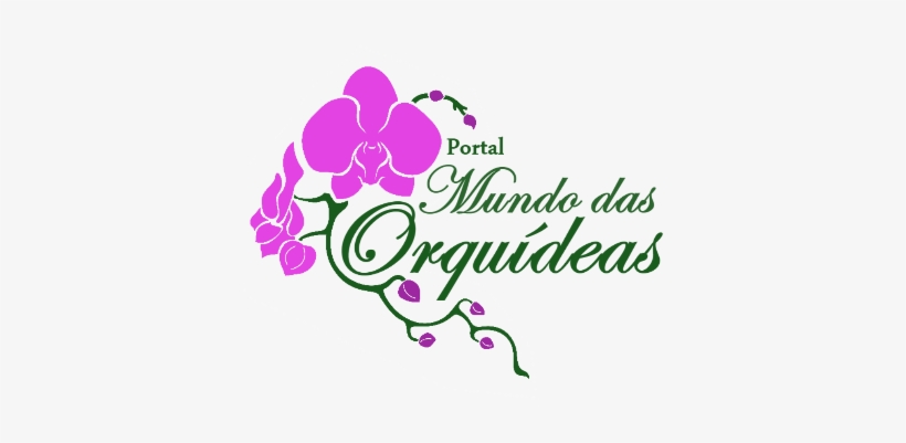 Portal Mundo Das Orquídeas - Orchids, transparent png download