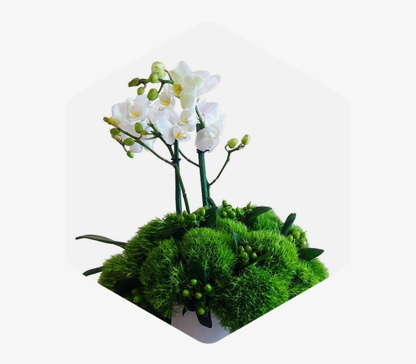 Artificial Flower, transparent png download