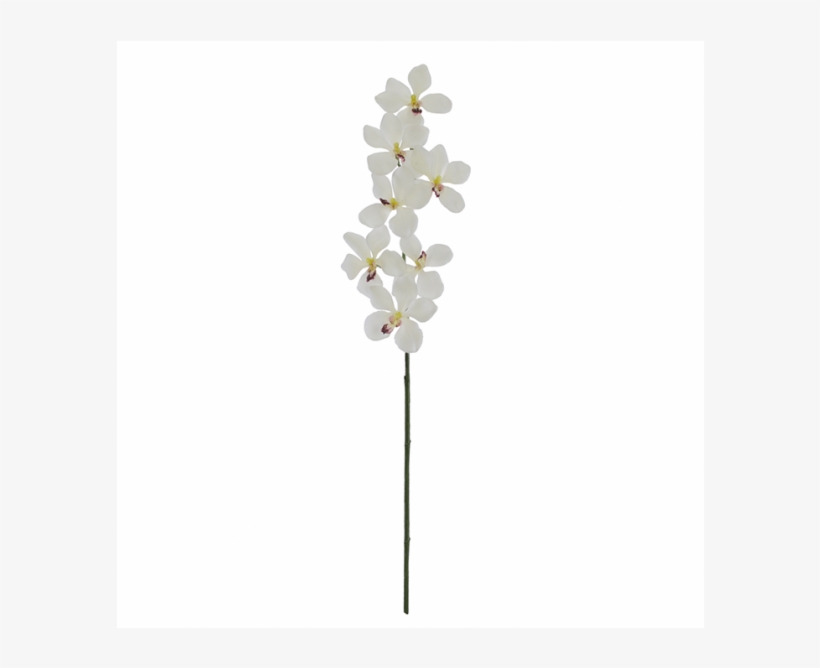 Haste Flor Artificial Orquídea Vanda Branco 86cm - Artificial Flower, transparent png download