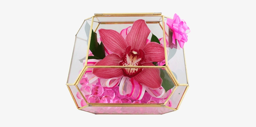 Orquidea En Cristal - Arreglos Floral Para El 10 De Mayo, transparent png download