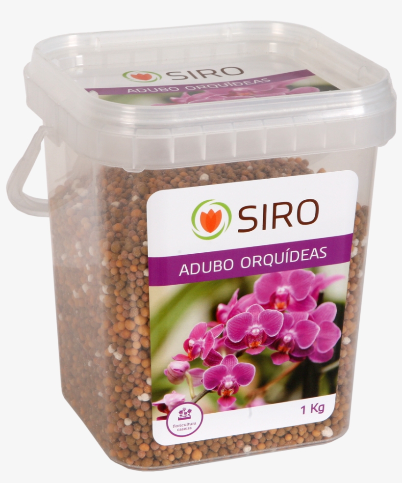 Orchids, transparent png download