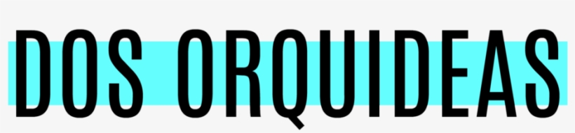 Cooperativa Medalla Milagrosa Telefono, transparent png download