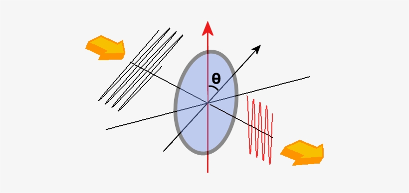 Ley De Malus - Loi De Malus, transparent png download
