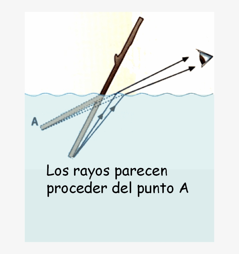 La Explicación De La Moneda Que Se Eleva Es La Siguiente - Marking Tools, transparent png download