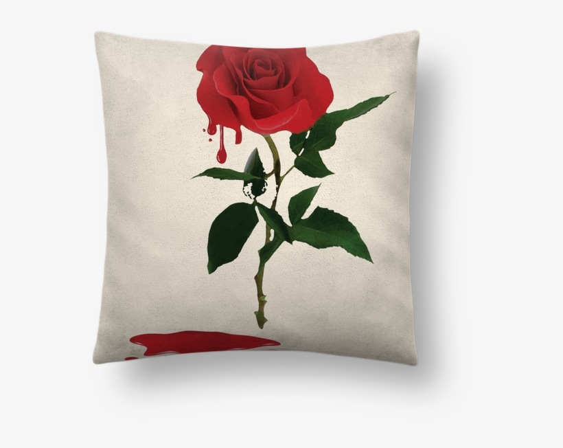 Cushion, transparent png download