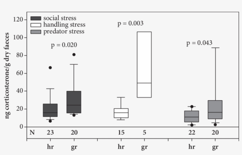 Excreted Corticosterone In Different Stress Situations - Diagram, transparent png download