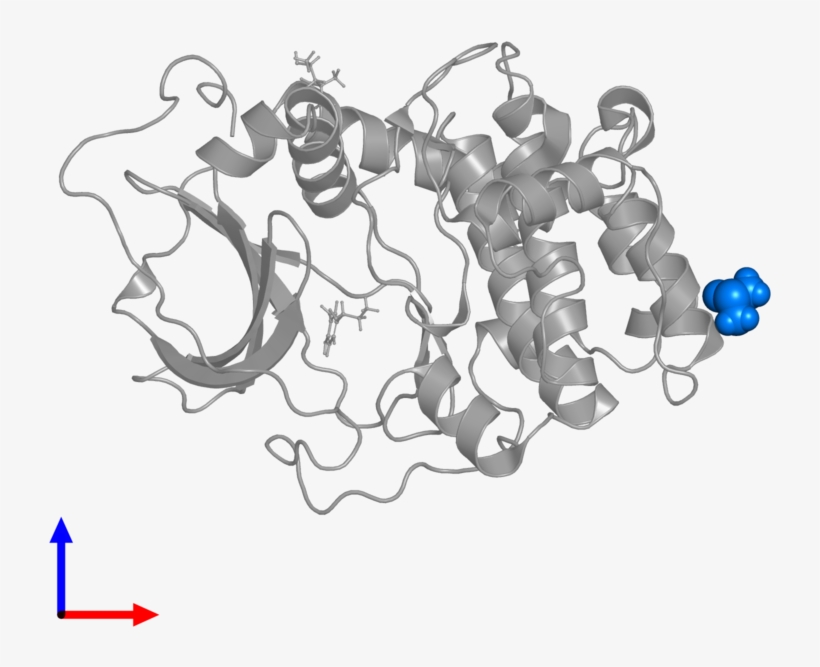 <div Class='caption-body'>pdb Entry 5n3l Contains 1 - Chain, transparent png download