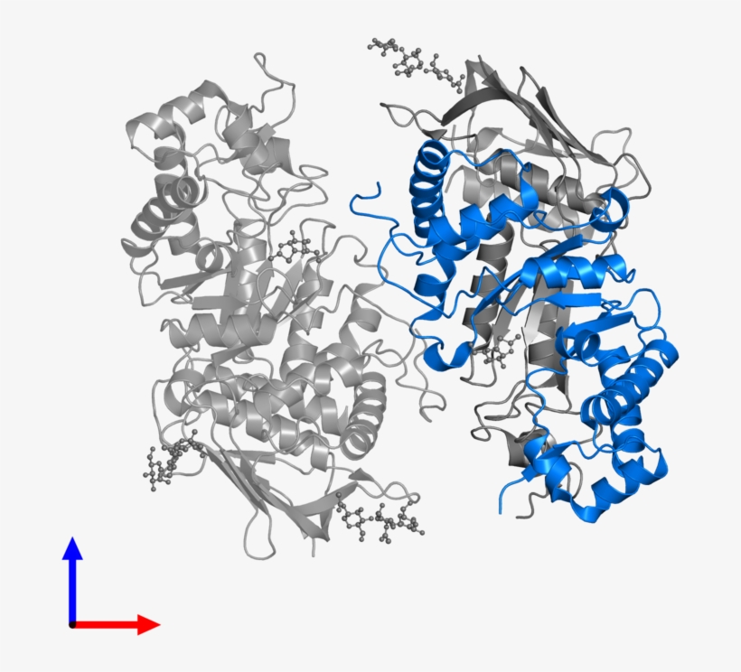 <div Class='caption-body'>pdb Entry 2gk1 Contains 1 - Protein Data Bank, transparent png download