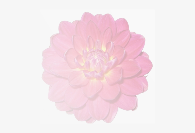 New Jersey, transparent png download