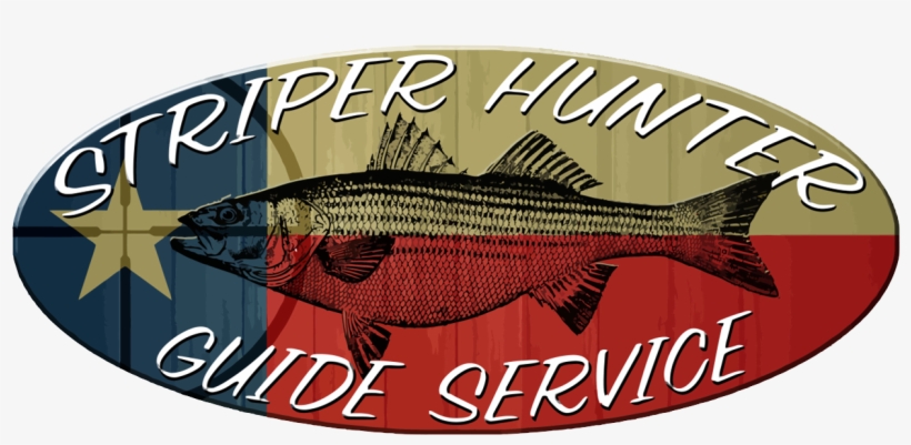 Png Logo Download - Striper Hunter - Fishing Guide Lake Texoma, transparent png download
