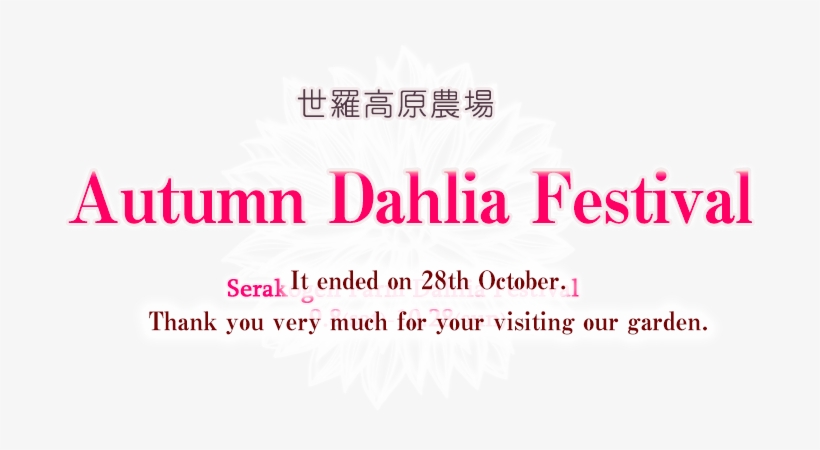 Dahlia Festival - Serakogen Farm, transparent png download