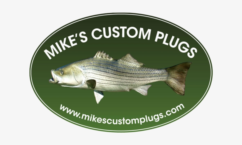 "the Beast" Darter - Yoo Seung Ho God, transparent png download