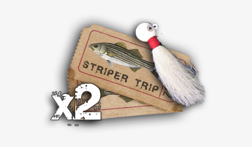 Striper-x2 - Duck, transparent png download