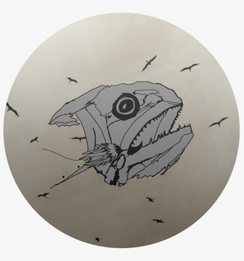 Catfish, transparent png download