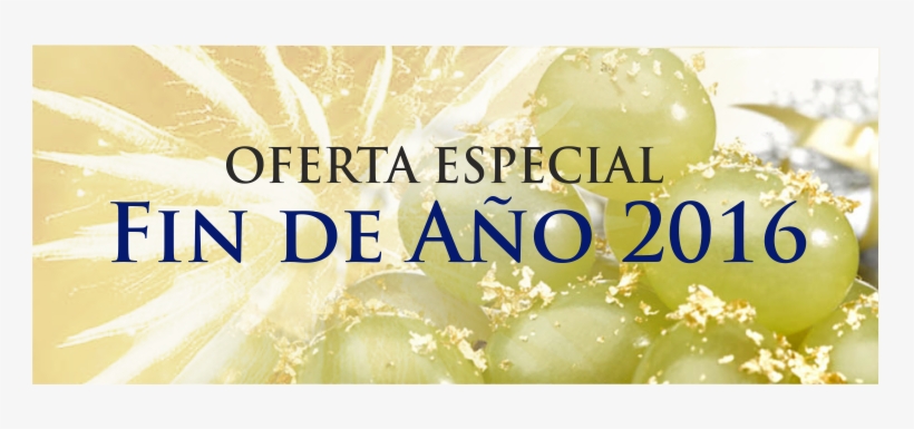 El Hotel Suites Albayzin Del Mar En Almuñécar Presenta, - Almuñécar, transparent png download