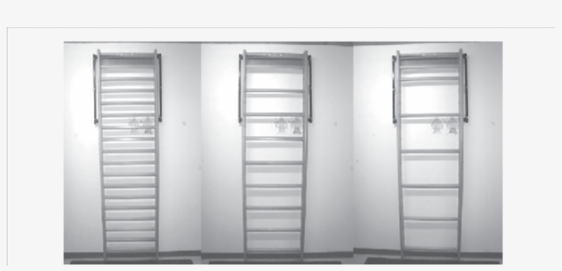 Climbing Ladder In All Three Forms Of The Testing Task - Sliding Door, transparent png download