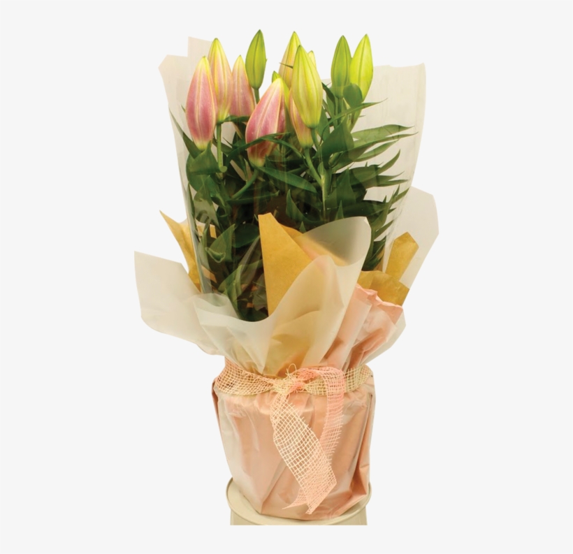Lily Pot Gift Wrap 1600 - Bouquet, transparent png download