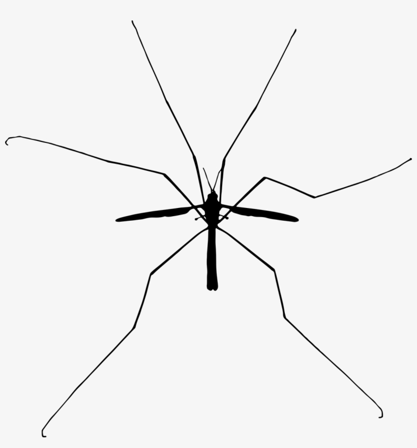 Fly Insect Mosquito Wing Hoverflies - Insect Silhouette, transparent png download