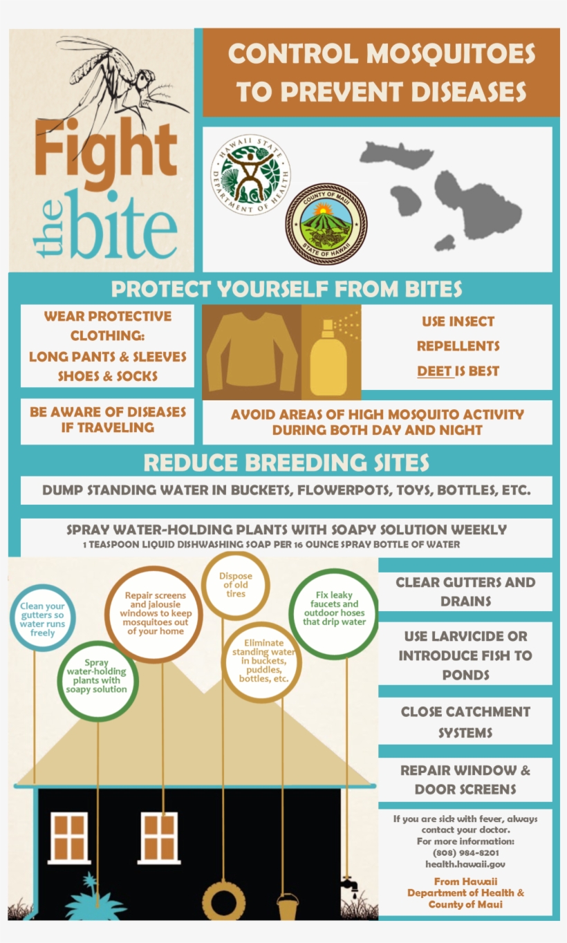 Ways To Control Mosquitoes - Dengue 2016 Poster Doh, transparent png download