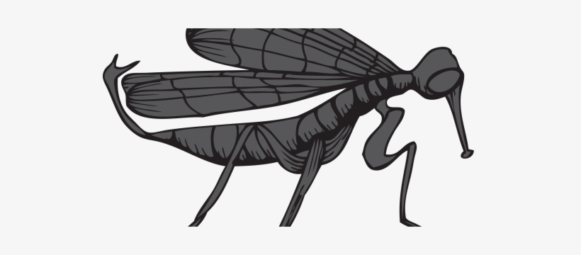 Diy Mosquito Trap Thats Shockingly Simple To Make - Mosquito, transparent png download