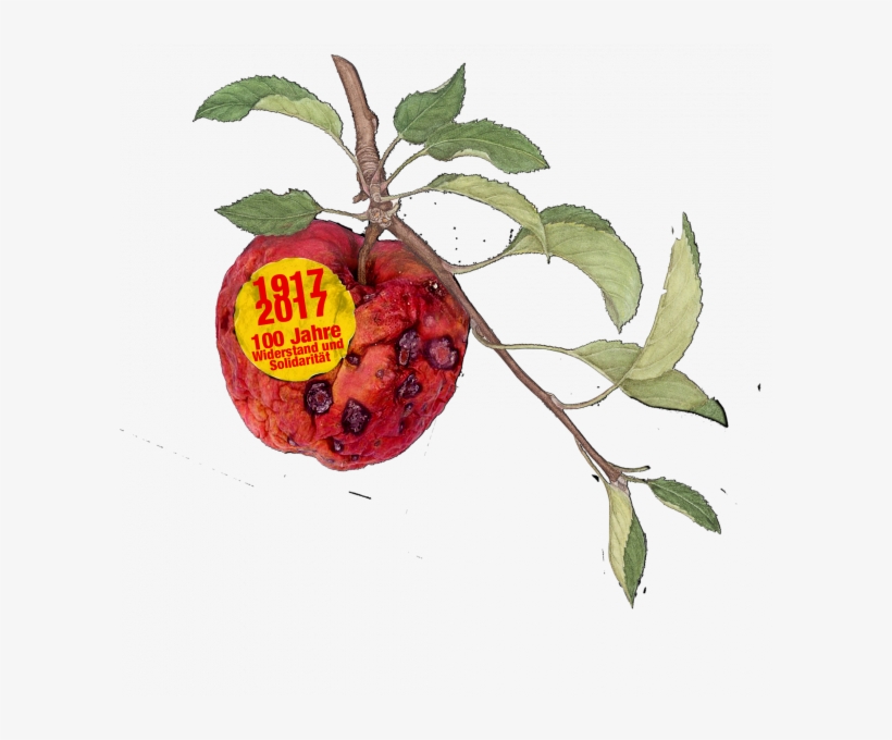 Projekte - Frutti Di Bosco, transparent png download