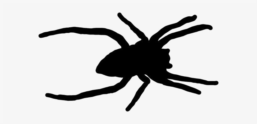 Spiders - Prestige Pest Control Services, transparent png download