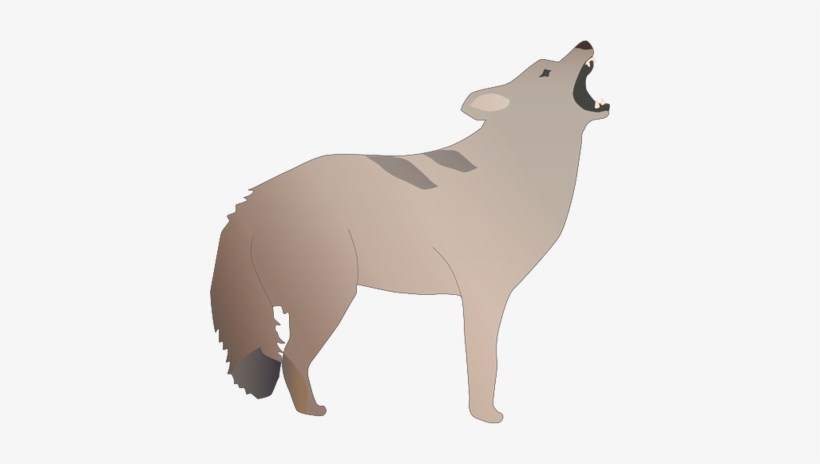Drawn Coyote Jackal - Coyote Drawing, transparent png download