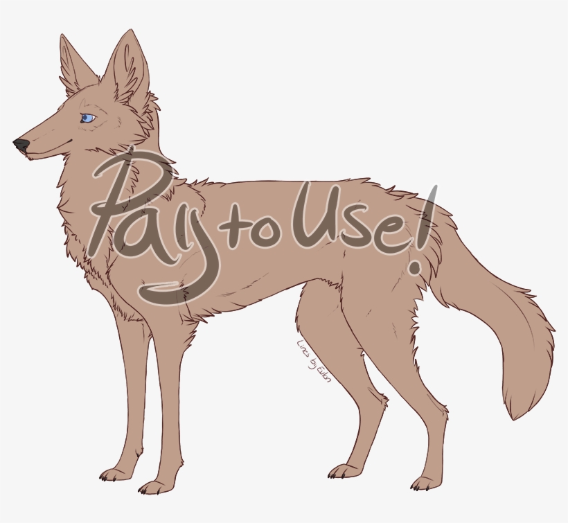 Black Backed Jackal - Dog Catches Something, transparent png download