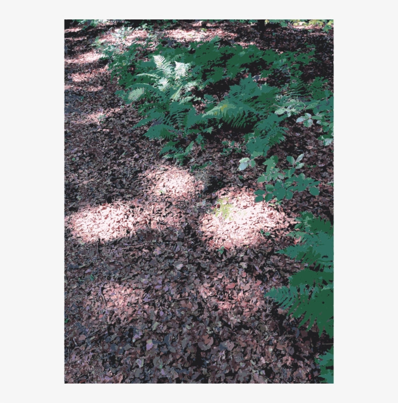 Soil Leaf Lawn Groundcover, transparent png download