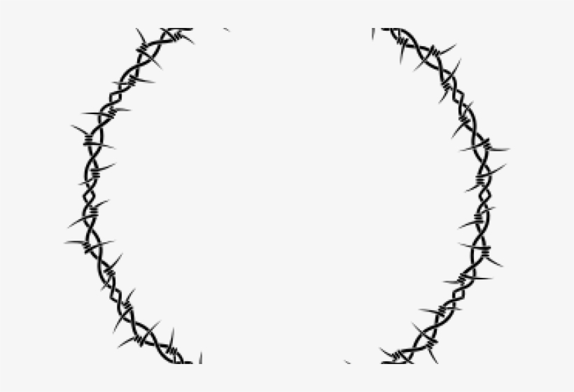 Barbed Wire Clipart Circle - Круг Из Колючей Проволоки, transparent png download