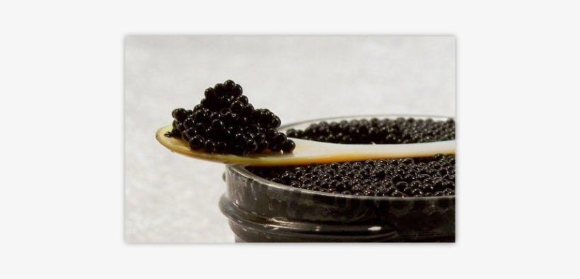 Lumpfish Black Caviar - Caviar, transparent png download