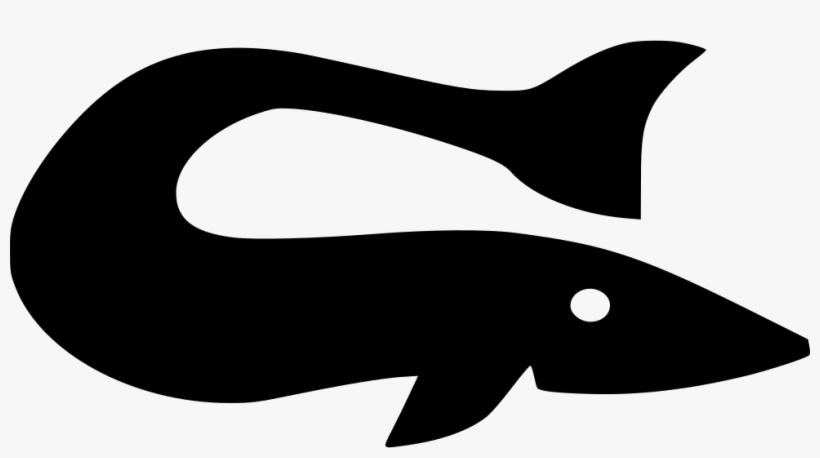 Png File Svg - Killer Whale, transparent png download