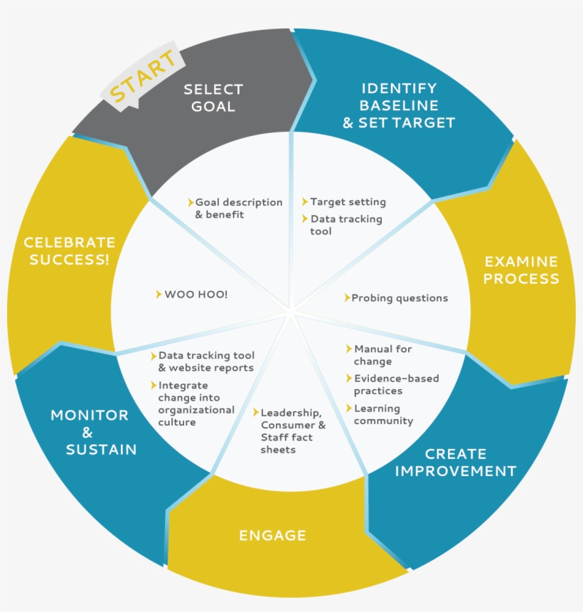 Select A Goal For Your Performance Improvement Project - Quality Improvement In Nursing, transparent png download