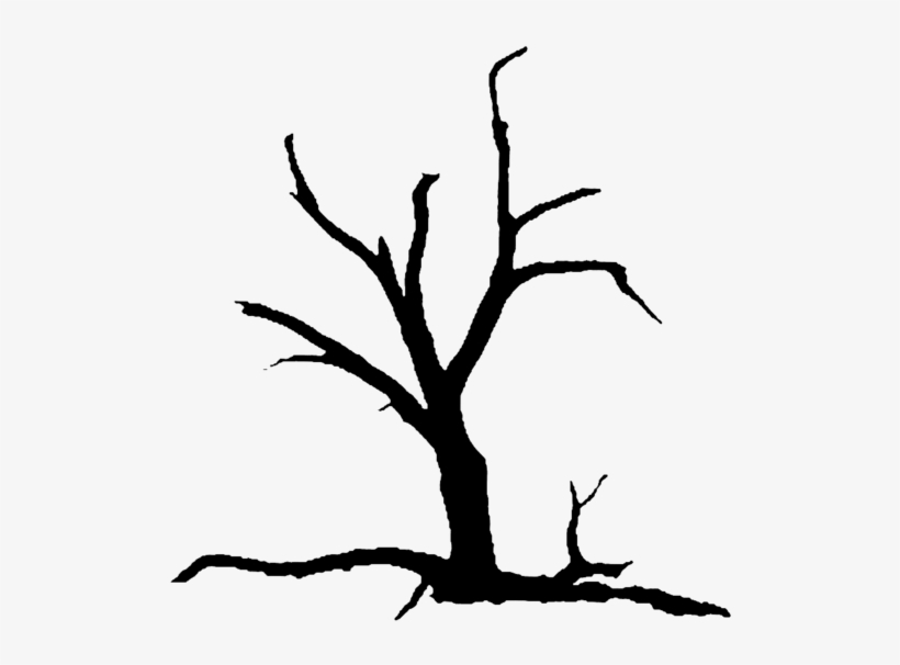 235 × 240 Pixels - Fifty Years Of My Thoughts And Prayers, transparent png download