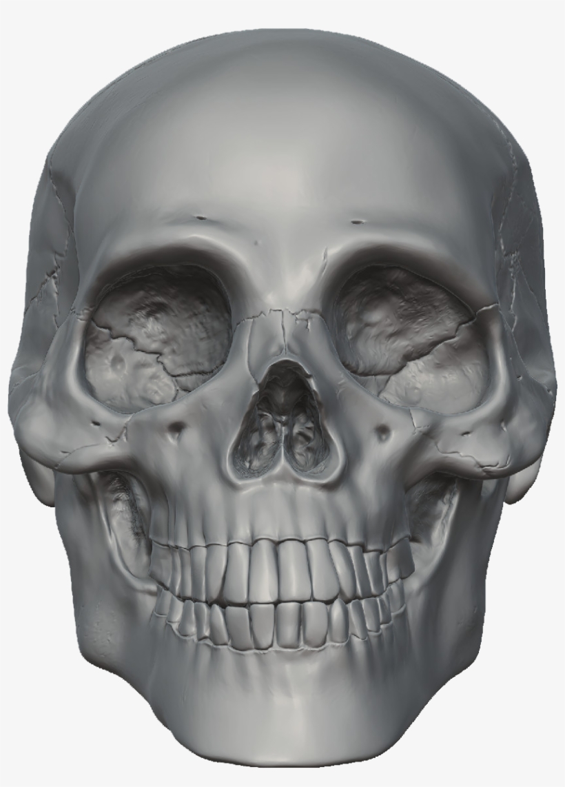 Png On Your Request - Skeleton Hd Png, transparent png download