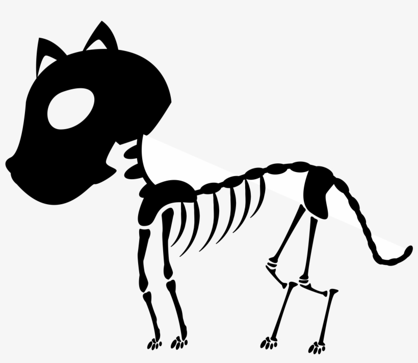 Skeleton Clipart Face - Drawings Of Skeleton Cat, transparent png download