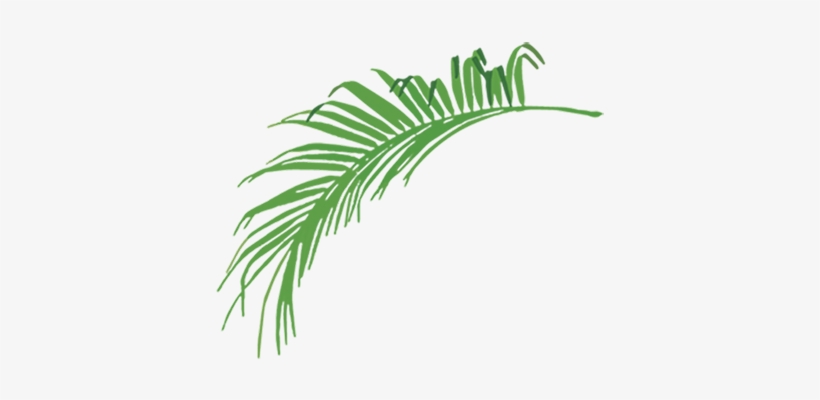 Performance Plus Events - Stock Illustration, transparent png download