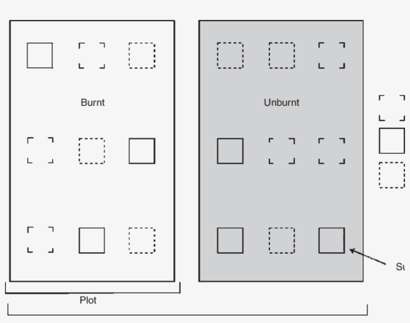 Schematic Representation Of The Experimental Design - Number, transparent png download