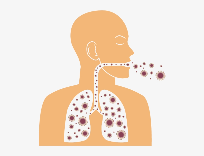 59 Pm 2109 Seesaw - Prevenir Las Alergias, transparent png download