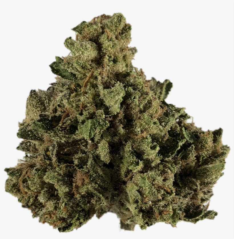 Home - Cherry-pie - Shortleaf Black Spruce, transparent png download