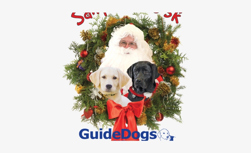 Santa Paws - 2018 Santa Paws 5k, transparent png download