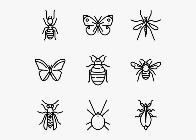 Insects - Insect, transparent png download