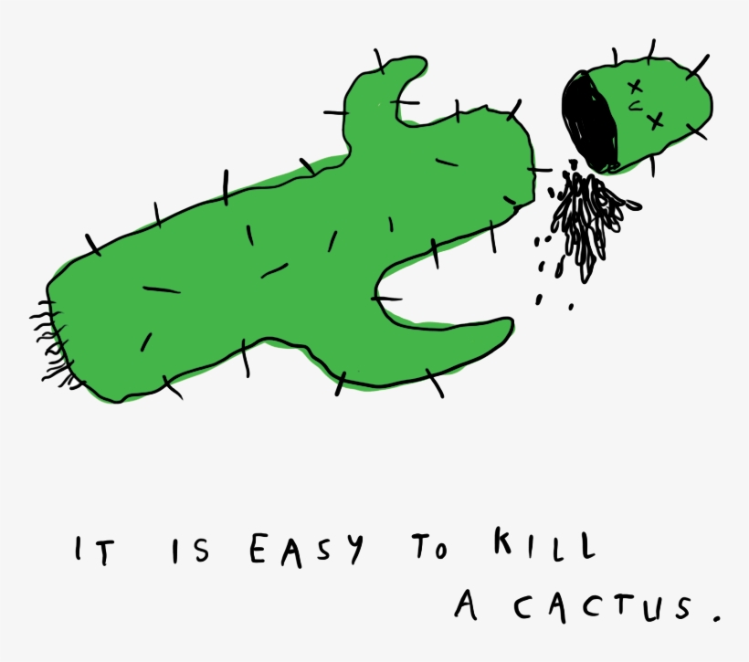 Christian Cactus - Cactus, transparent png download