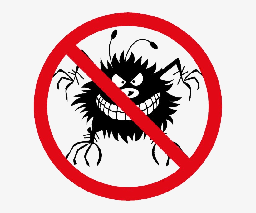 Bed Bug, transparent png download