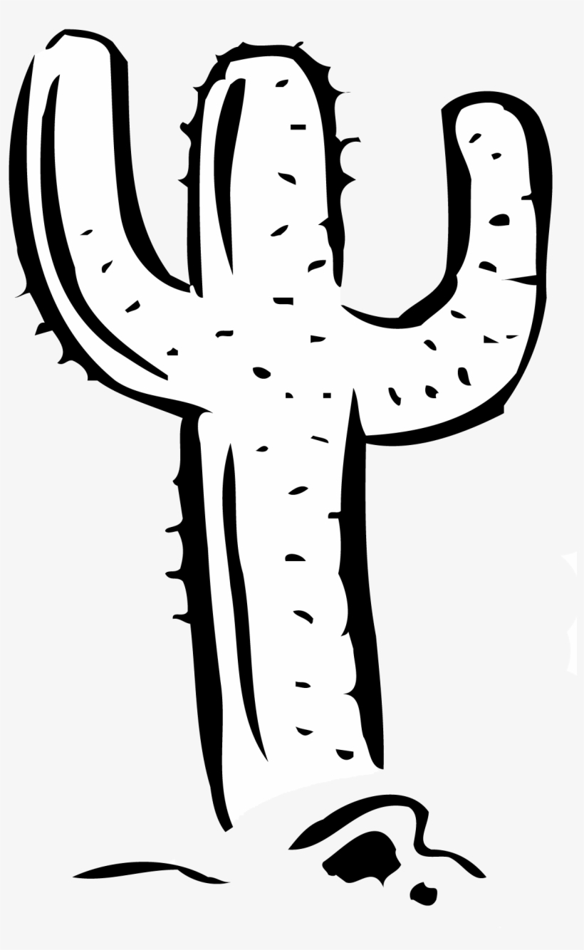 Graphics - Large-flowered Cactus, transparent png download