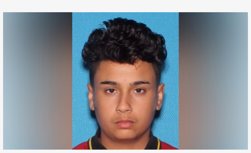 Authorities Give Update On Investigation Into Orange - Student, transparent png download