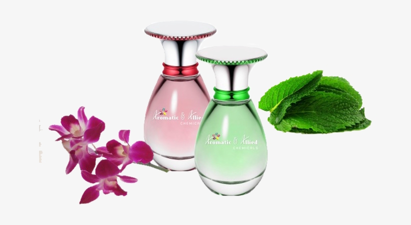 Fragrances /perfumes - Fragrance In Personal Care, transparent png download